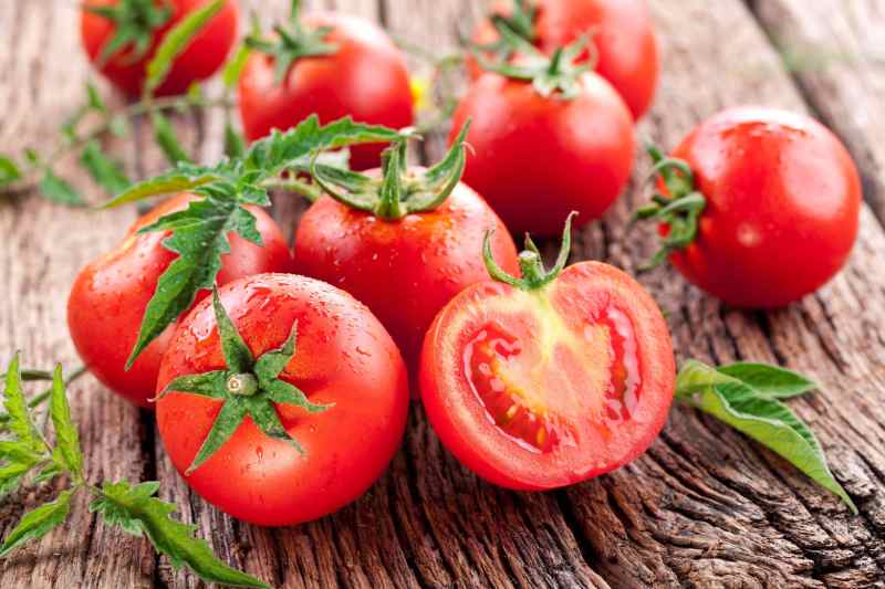 فروش گوجه صادراتی بوشهر + قیمت خرید به صرفه