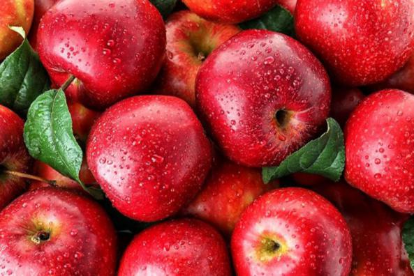 https://shp.aradbranding.com/خرید و فروش سیب سرخ مراغه با شرایط فوق العاده