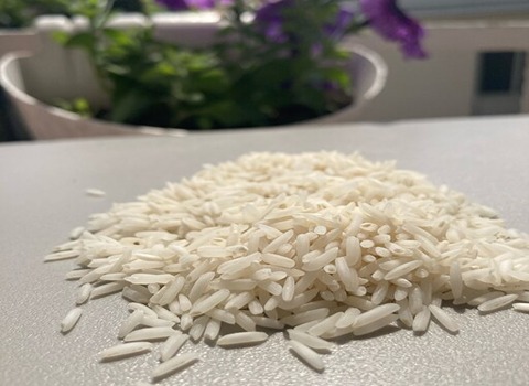 https://shp.aradbranding.com/قیمت خرید برنج شمال شیرودی + فروش ویژه