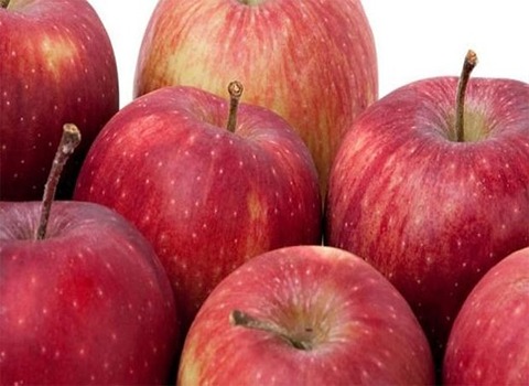 قیمت خرید سیب قرمز صادراتی ارومیه + فروش ویژه