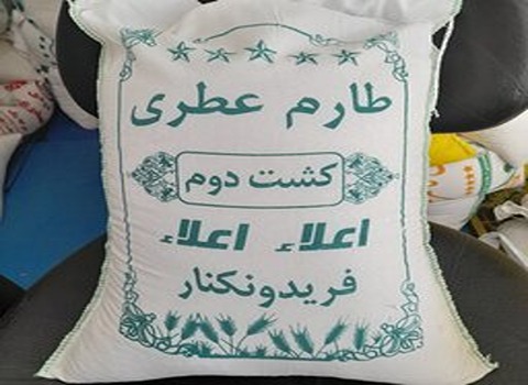 قیمت برنج فریدونکنار کشت دوم + خرید باور نکردنی