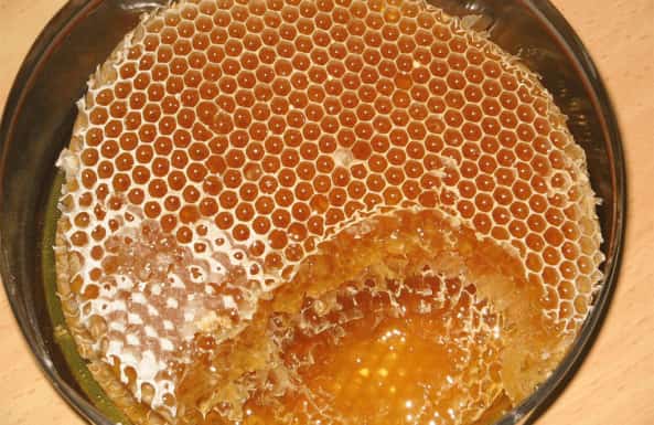 قیمت عسل شهد طلایی شمالی+ خرید باور نکردنی
