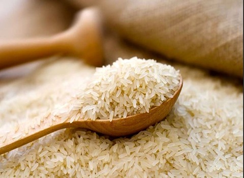 قیمت خرید برنج محلی کامفیروز + فروش ویژه