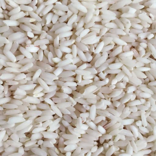 قیمت برنج هاشمی شمال درجه یک