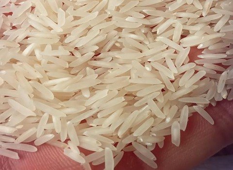 قیمت برنج باسماتی دانه بلند + خرید باور نکردنی