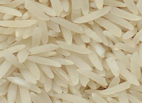 قیمت برنج دمسیاه گیلان با کیفیت ارزان + خرید عمده