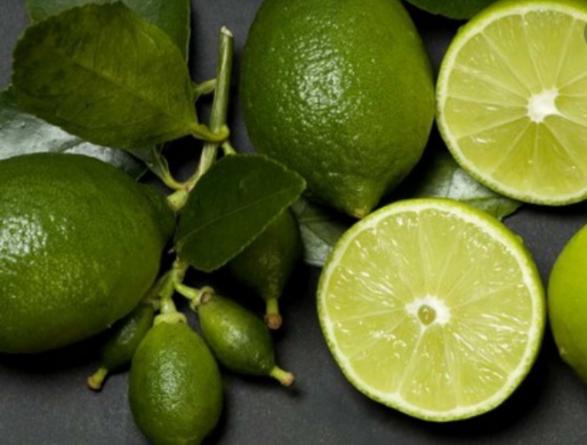 خرید و فروش لیمو ترش جهرم با شرایط فوق العاده