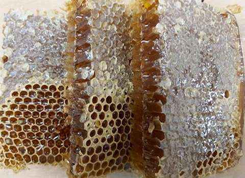 خرید و فروش عسل طبیعی خوزستان با شرایط فوق العاده