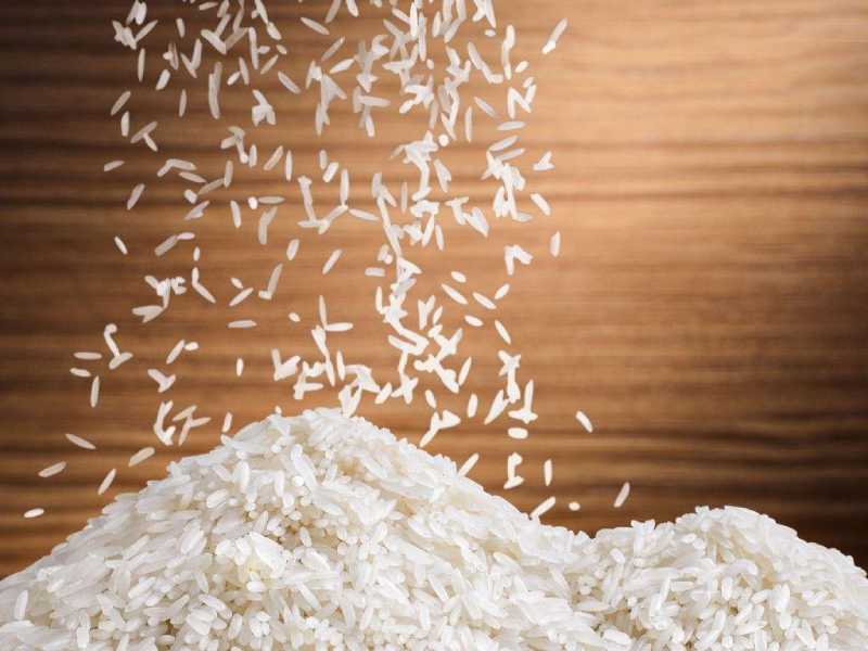 https://shp.aradbranding.com/قیمت خرید برنج شیرودی شمال + فروش ویژه