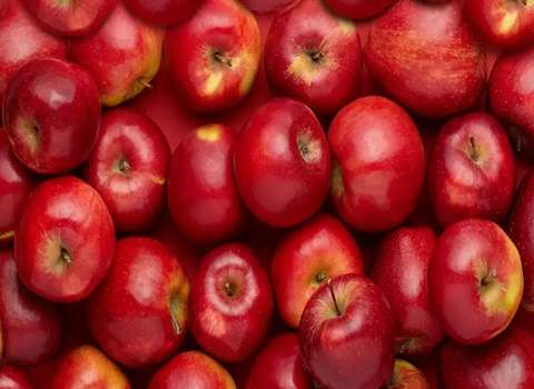 خرید و قیمت سیب قرمز سمیرم + فروش صادراتی