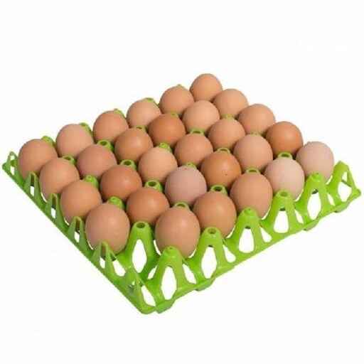 https://shp.aradbranding.com/خرید شانه تخم مرغ پلاستیکی + قیمت فروش استثنایی