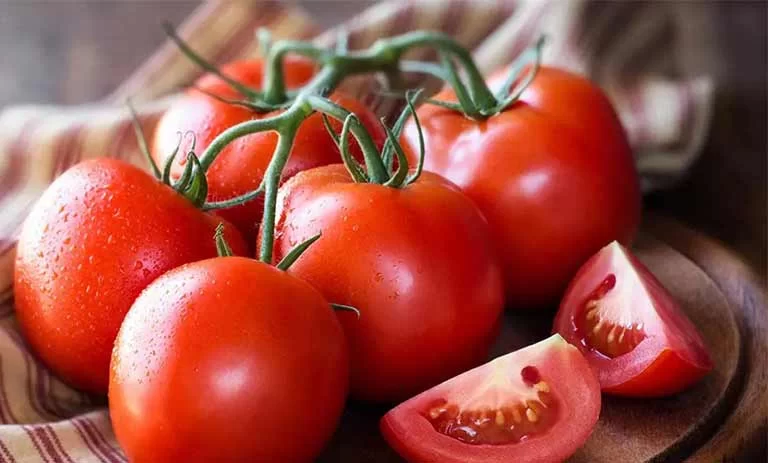 فروش گوجه فرنگی زودرس + قیمت خرید به صرفه