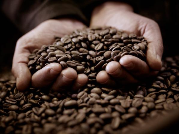 قیمت قهوه عربیکا رست شده با کیفیت ارزان + خرید عمده