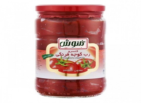 https://shp.aradbranding.com/قیمت خرید رب گوجه فرنگی گلنوش عمده به صرفه و ارزان