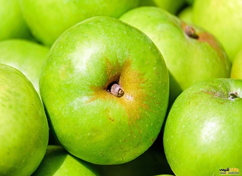 خرید و فروش میوه سیب ترش با شرایط فوق العاده