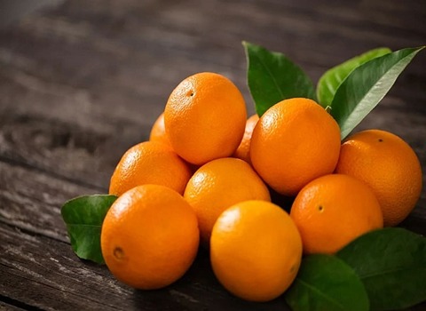 قیمت پرتقال تامسون ناول + خرید باور نکردنی