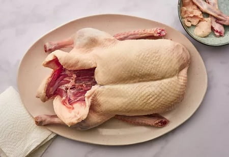 خرید و فروش گوشت اردک تازه با شرایط فوق العاده