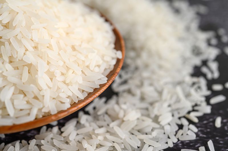 قیمت خرید برنج فجر شمشیری + فروش ویژه