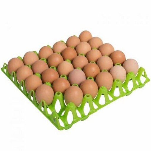 خرید شانه تخم مرغی پلاستیکی + قیمت فروش استثنایی