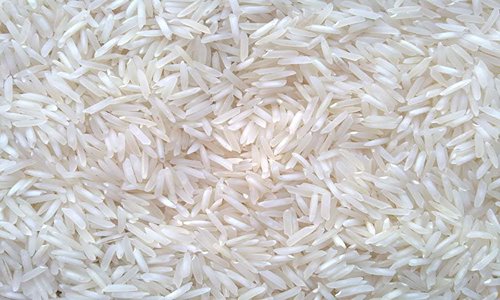 قیمت خرید برنج ایرانی طبیعت با فروش عمده