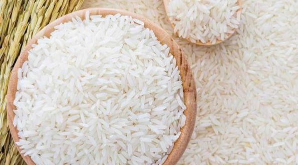قیمت خرید برنج طارم هاشمی عمده به صرفه و ارزان