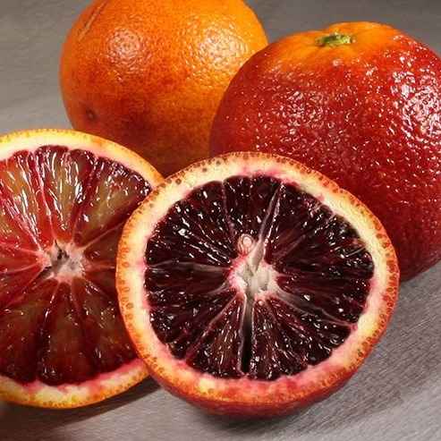 خرید پرتقال خونی موزی + قیمت فروش استثنایی