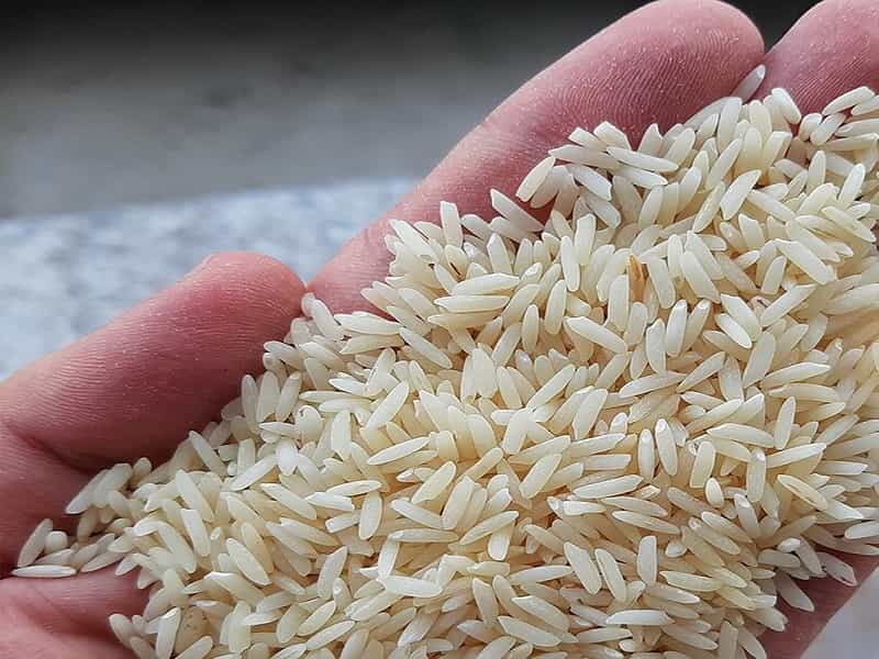 قیمت خرید برنج ایرانی دودی + فروش ویژه