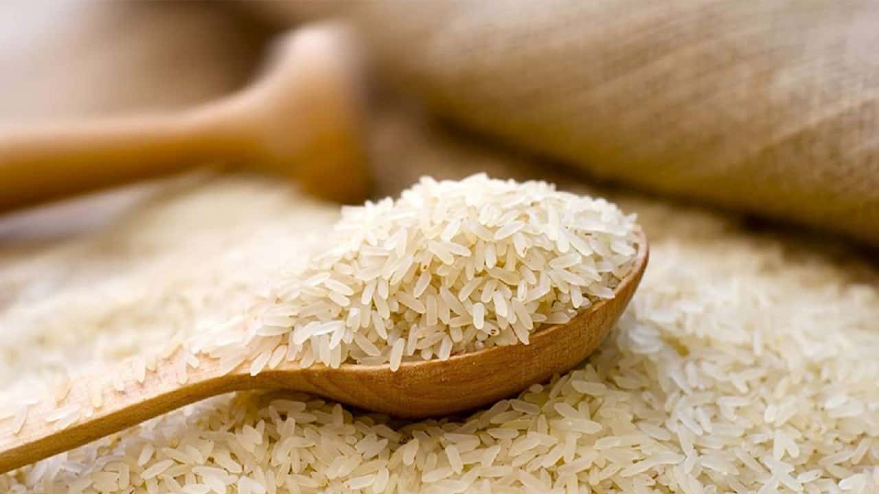 قیمت خرید برنج کشت دوم مازندران + فروش ویژه