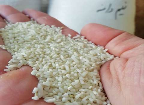 قیمت برنج نیم دانه معطر + خرید باور نکردنی