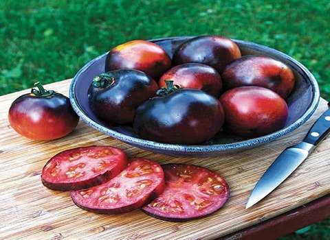 https://shp.aradbranding.com/قیمت گوجه فرنگی سیاه رفسنجان با کیفیت ارزان + خرید عمده