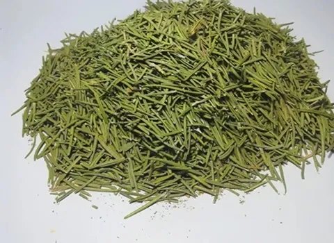 خرید گیاه خشک شده رزماری + قیمت فروش استثنایی