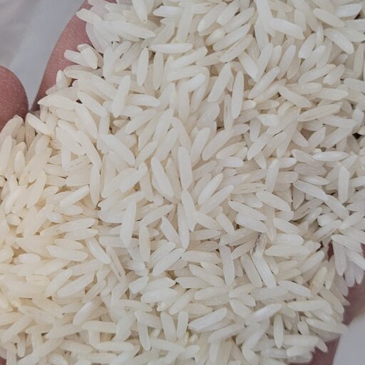 قیمت خرید برنج خوشپخت ندا + فروش ویژه