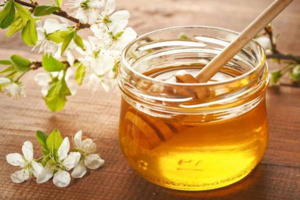 قیمت خرید عسل گون اصفهان عمده به صرفه و ارزان
