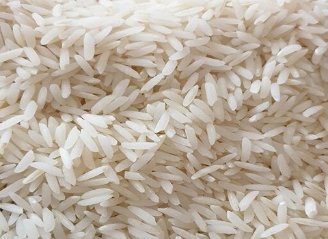 قیمت خرید برنج محمودآباد مازندران با فروش عمده