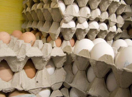 فروش تخم مرغ درجه یک + قیمت خرید به صرفه