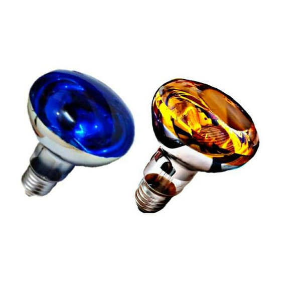 https://shp.aradbranding.com/خرید لامپ گرمایشی ۶۰ وات + قیمت فروش استثنایی