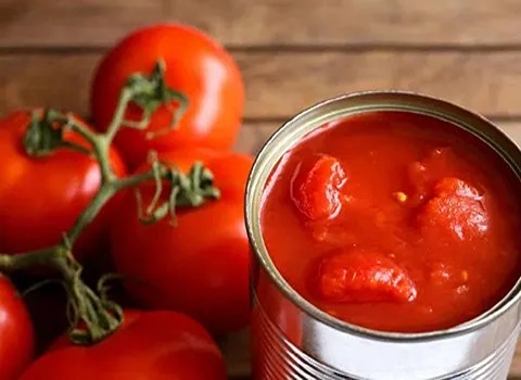 https://shp.aradbranding.com/قیمت خرید رب گوجه 200 گرمی با فروش عمده