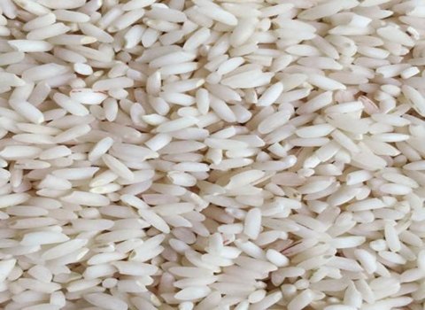 فروش برنج اهواز خوزستان + قیمت خرید به صرفه