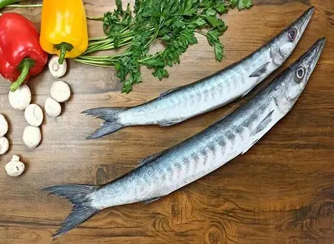 https://shp.aradbranding.com/قیمت خرید ماهی شیر جنوب عمده به صرفه و ارزان