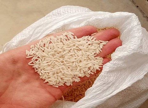 قیمت برنج خوش عطر ایرانی + خرید باور نکردنی