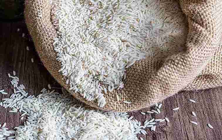 قیمت برنج شمال اعلاء + خرید باور نکردنی