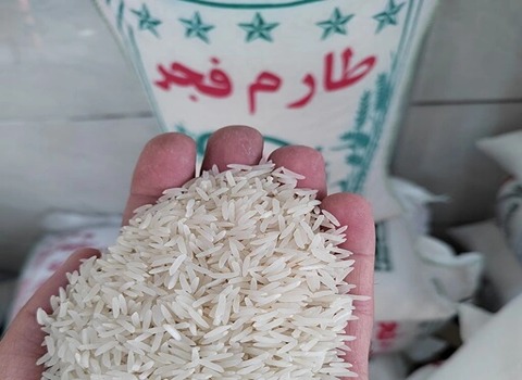https://shp.aradbranding.com/خرید برنج طارم محلی گرگان + قیمت فروش استثنایی