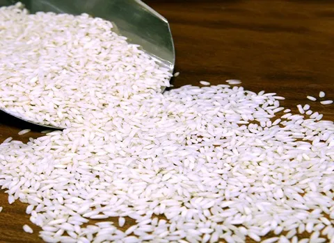 قیمت برنج عنبربو درخشش + خرید باور نکردنی