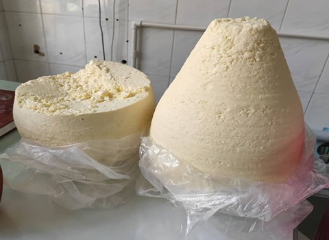 https://shp.aradbranding.com/قیمت خرید پنیر سنتی کوزه ای با فروش عمده