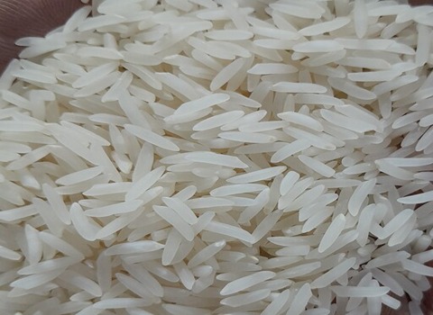 خرید و قیمت برنج محلی گرگان + فروش عمده