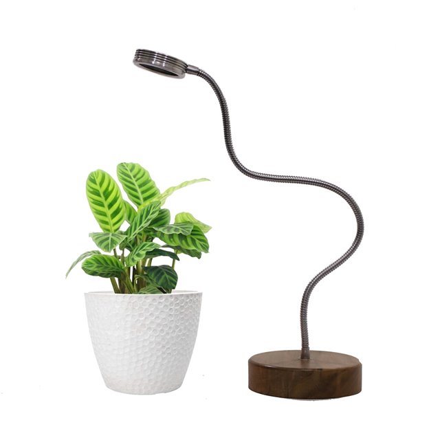 https://shp.aradbranding.com/خرید لامپ رشد گیاه پایه دار + قیمت فروش استثنایی