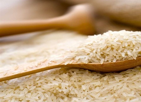 خرید و قیمت برنج نیم دانه چمپا + فروش صادراتی