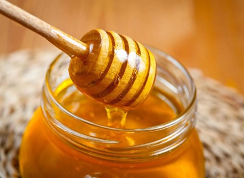 خرید عسل گون گشنیز + قیمت فروش استثنایی