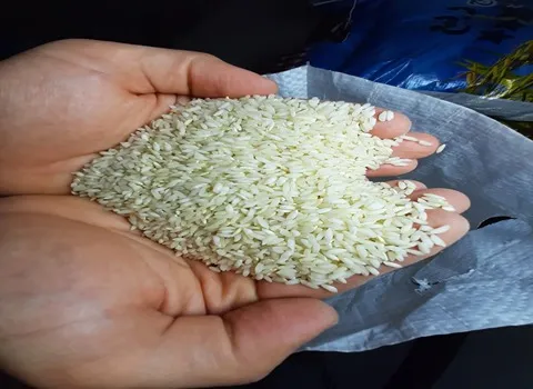 قیمت برنج خوش پخت ایرانی + خرید باور نکردنی