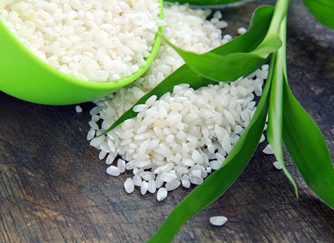 https://shp.aradbranding.com/فروش برنج فجر مازندران + قیمت خرید به صرفه
